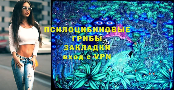 ПСИЛОЦИБИНОВЫЕ ГРИБЫ Аркадак