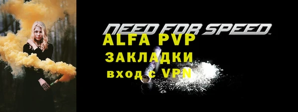 стаф Арсеньев