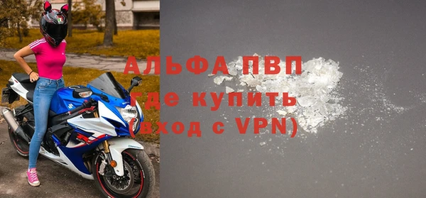 стаф Арсеньев